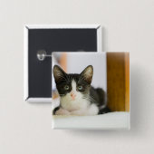 Badge Carré 5 Cm Chaton blanc et noir doux (Devant & derrière)