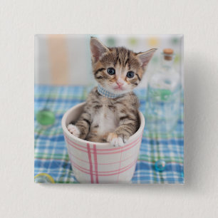 Badge Carré 5 Cm Chaton de Munchkin avec le joli ruban