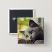 Badge Carré 5 Cm Chaton de Ragdoll (Devant & derrière)