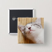 Badge Carré 5 Cm Chaton de sommeil (Devant & derrière)