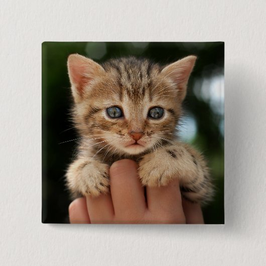 Badge Carré 5 Cm Chaton doux de bébé (Devant)