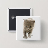 Badge Carré 5 Cm chaton mignon (Devant & derrière)
