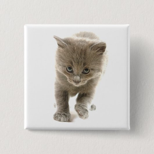 Badge Carré 5 Cm chaton mignon (Devant)