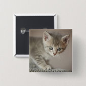 Badge Carré 5 Cm Chaton minuscule (Devant & derrière)