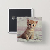 Badge Carré 5 Cm Chaton minuscule de gingembre (Devant & derrière)