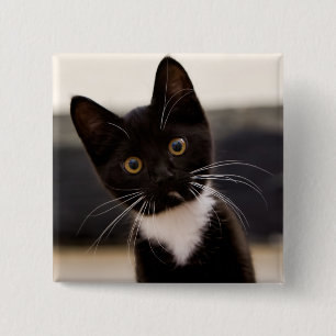 Badge Carré 5 Cm Chaton noir et blanc mignon de smoking