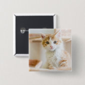 Badge Carré 5 Cm Chaton orange et blanc (Devant & derrière)