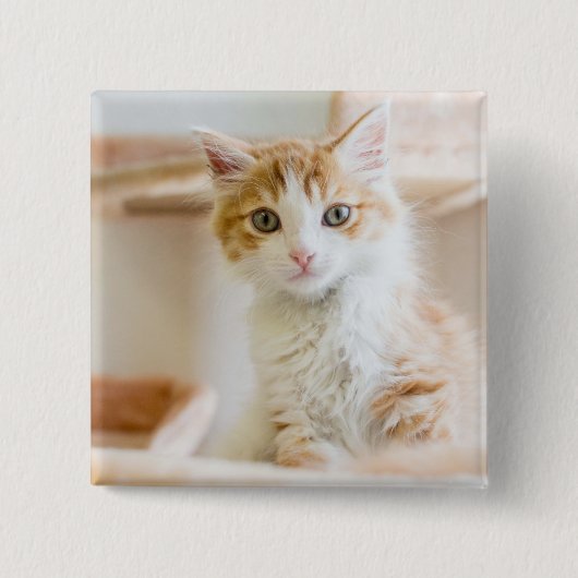 Badge Carré 5 Cm Chaton orange et blanc (Devant)