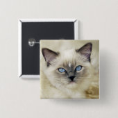 Badge Carré 5 Cm chaton Ragdoll (Devant & derrière)