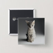 Badge Carré 5 Cm Chaton tigré bleu (Devant & derrière)