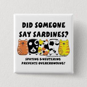 Badge Carré 5 Cm Chats Sardine