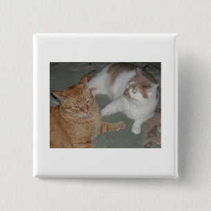Badge Carré 5 Cm Chats Tabby Orange