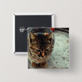 Badge Carré 5 Cm Chatte (Devant & derrière)