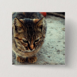 Badge Carré 5 Cm Chatte