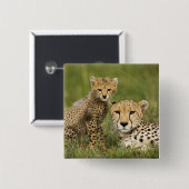 Badge Carré 5 Cm Cheetah, Acinonyx jubatus, avec Cub (Devant & derrière)