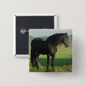 Badge Carré 5 Cm Cheval frison (Devant & derrière)