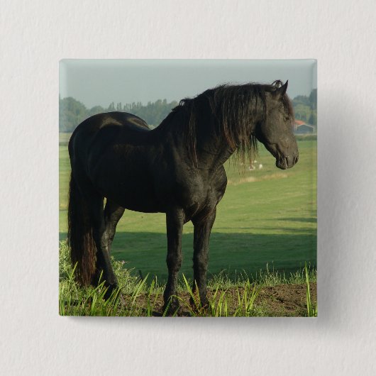 Badge Carré 5 Cm Cheval frison (Devant)