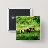 BADGE CARRÉ 5 CM CHEVAUX (Devant & derrière)