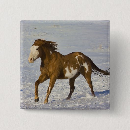 Badge Carré 5 Cm Chevaux courant dans la neige (Devant)