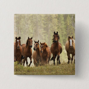 Badge Carré 5 Cm Chevaux franchissant une petite colline lors d'un