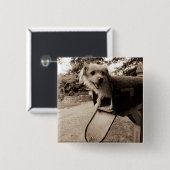 Badge Carré 5 Cm Chien à l'intérieur d'une boîte aux lettres (Devant & derrière)