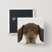 Badge Carré 5 Cm Chien blanc (brun) 2 (Devant & derrière)