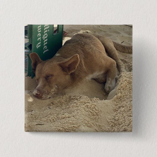 Badge Carré 5 Cm Chien endormi (Devant)