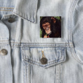 Badge Carré 5 Cm Chimpansee (En situation)