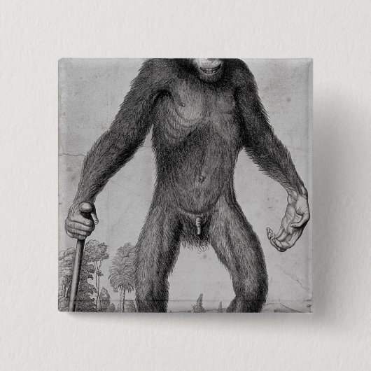 Badge Carré 5 Cm Chimpanzé, 1699 (Devant)