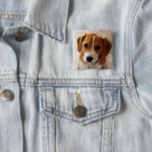 Badge Carré 5 Cm Chiot 2 de beagle (En situation)