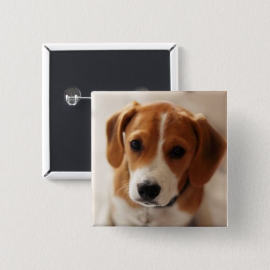 Badge Carré 5 Cm Chiot 2 de beagle (Devant & derrière)
