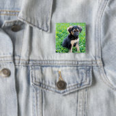 Badge Carré 5 Cm Chiot berger allemand (En situation)