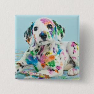 Badge Carré 5 Cm Chiot dalmatien