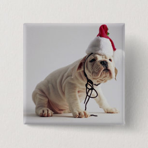 Badge Carré 5 Cm Chiot de bouledogue utilisant le casquette de Pèr