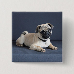 Badge Carré 5 Cm Chiot sur le divan Lounging