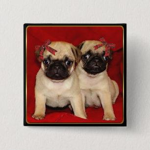 Badge Carré 5 Cm Chiots de carlin de Noël
