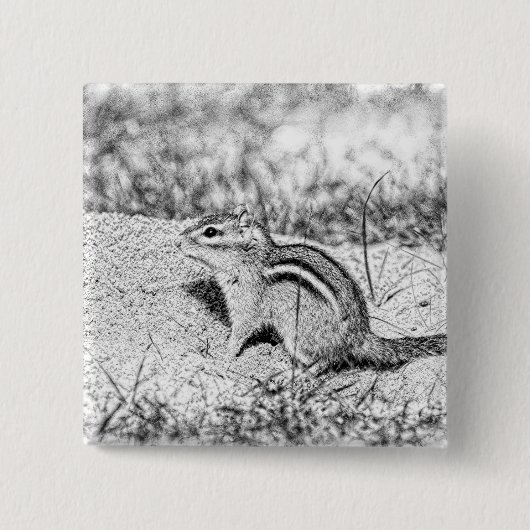 Badge Carré 5 Cm Chipmunk Sketch (Devant)