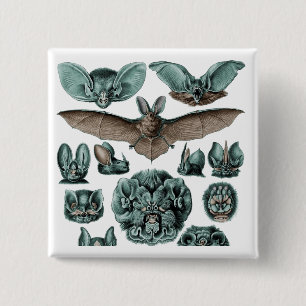 Badge Carré 5 Cm Chiroptères chauves-souris Plaque 67