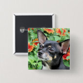 Badge Carré 5 Cm Chiwawa - Isabella - photo 41 (Devant & derrière)