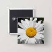 Badge Carré 5 Cm Chouchou de marguerite (Devant & derrière)
