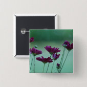 Badge Carré 5 Cm Chrysanthème et signification (Devant & derrière)