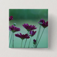 Chrysanthème et signification