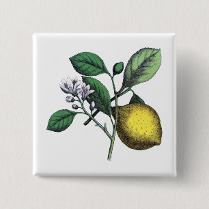 Badge Carré 5 Cm Citron, "fruit et fleur"