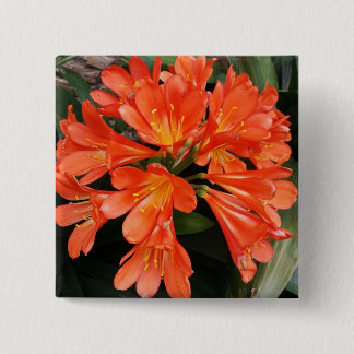 Badge Carré 5 Cm Clivia Miniata - La Belle Fleur Orange