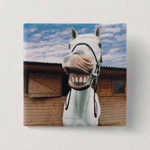 Badge Carré 5 Cm Close-up of Horse with Mouth Open
