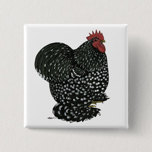 Badge Carré 5 Cm Cochin : Motte noire (Devant)