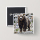 Badge Carré 5 Cm Codiak Bear Standing on a Rock (Devant & derrière)