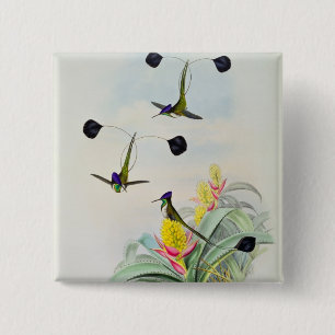 Badge Carré 5 Cm Colibri, gravé par Walter et Cohn