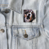 BADGE CARRÉ 5 CM COLLIE FRONTALIÈRE (En situation)