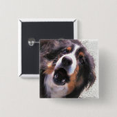 BADGE CARRÉ 5 CM COLLIE FRONTALIÈRE (Devant & derrière)